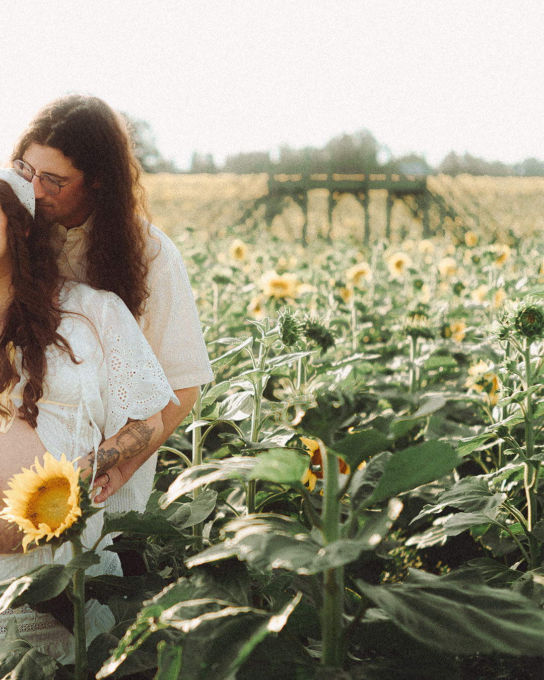 Lovestory Pregnancy Announcement Among the Sunflowers of the Wooden Shoe Tulip Farm — photograph 8 of 39